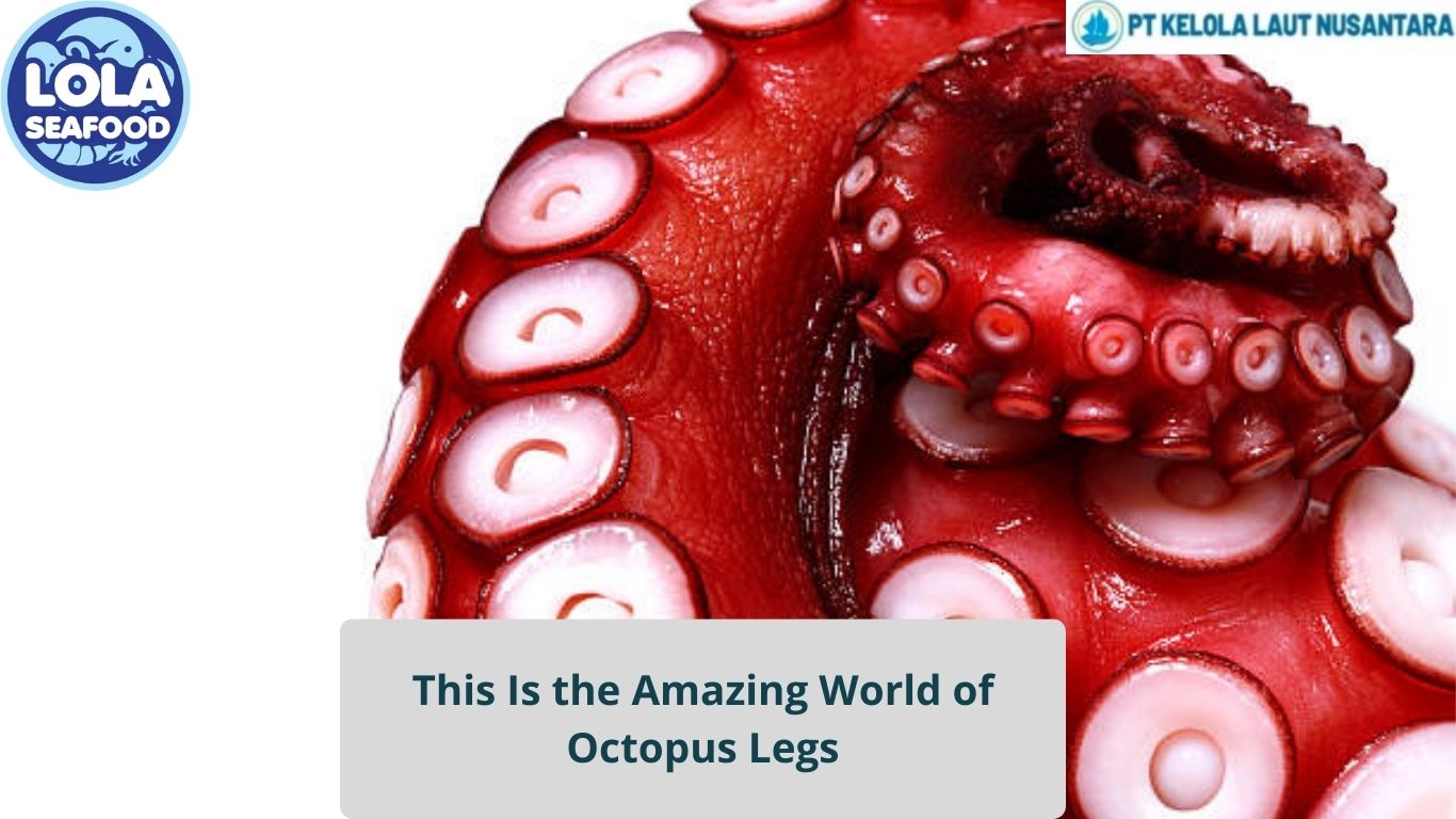 This Is the Amazing World of Octopus Legs